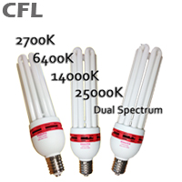  CFL(compact fluorescent lamp) (9)