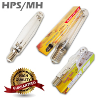  HPS/MH Lamp (11)